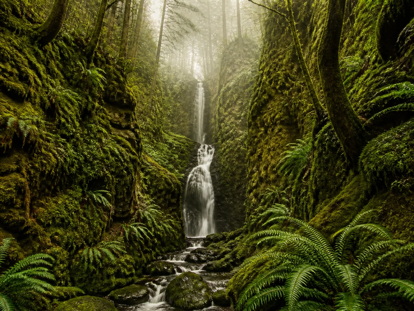 Upscale Image enhancement preview 1